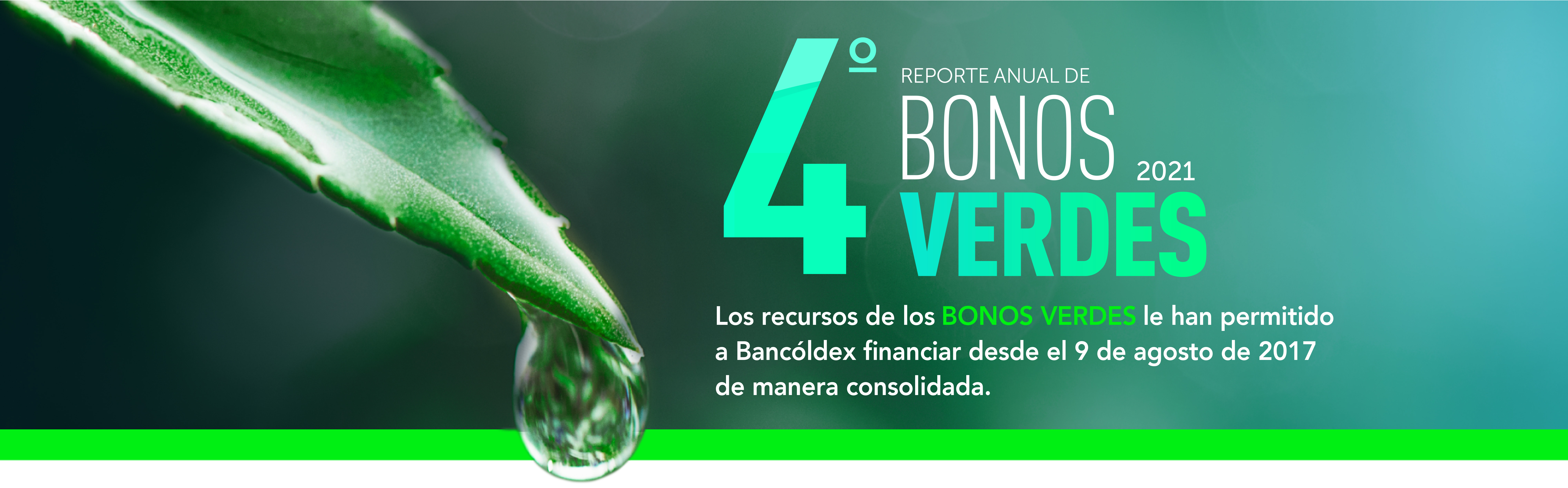 4 Bonos verdes