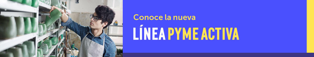 Linea Pyme Activa Linea Pyme Activa