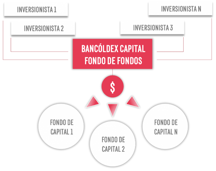 fondo_fondos_1