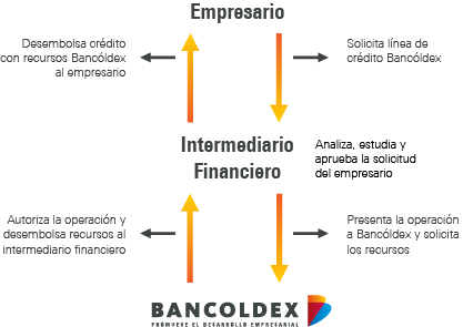 imagen:como