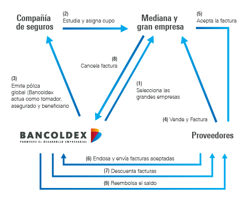 imagen:esquema