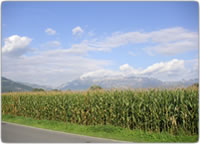 imagen: Agro