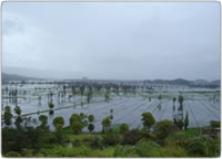 imagen: Ola invernal en Colombia