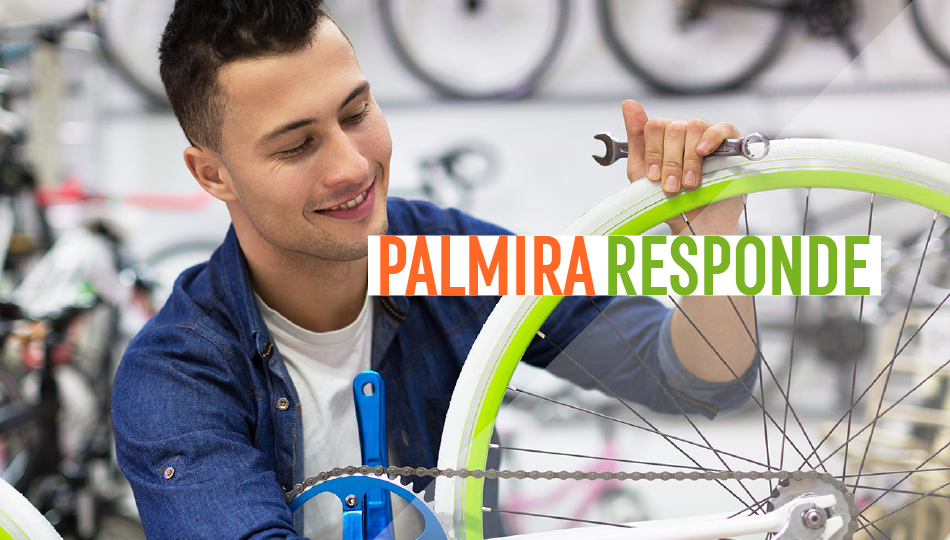 Palmira Responde Palmira Responde