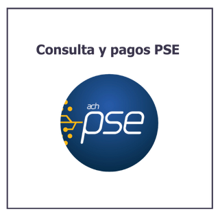 PSE logo