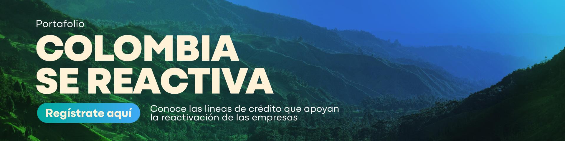 Las decisiones financieras de tu empresa son muy importantes para que las tomes tu solo